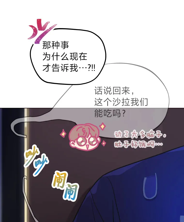 15.糊团开直播12
