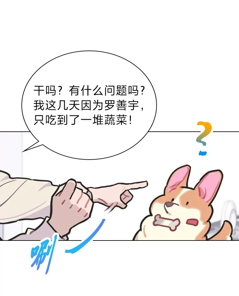 7.辣眼的黑历史58