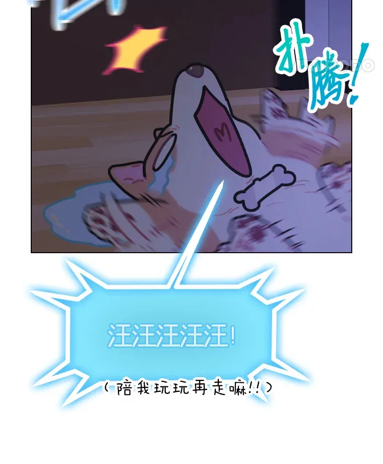 15.糊团开直播17