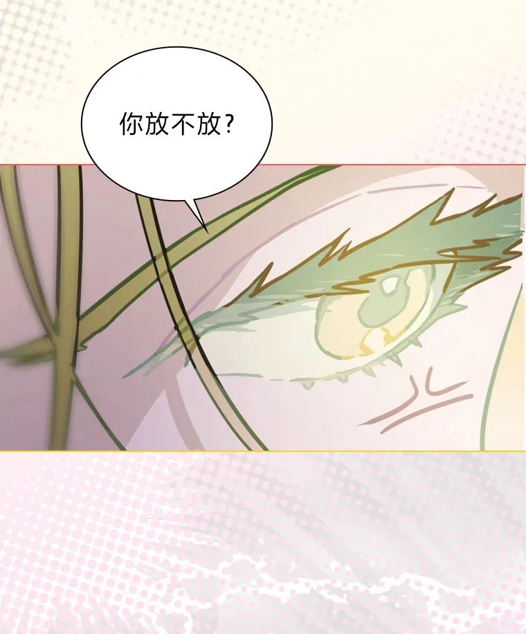 15.糊团开直播44