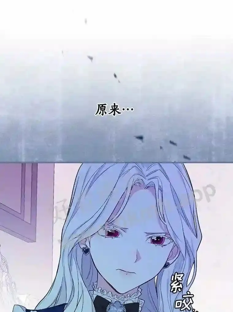 5.初见40