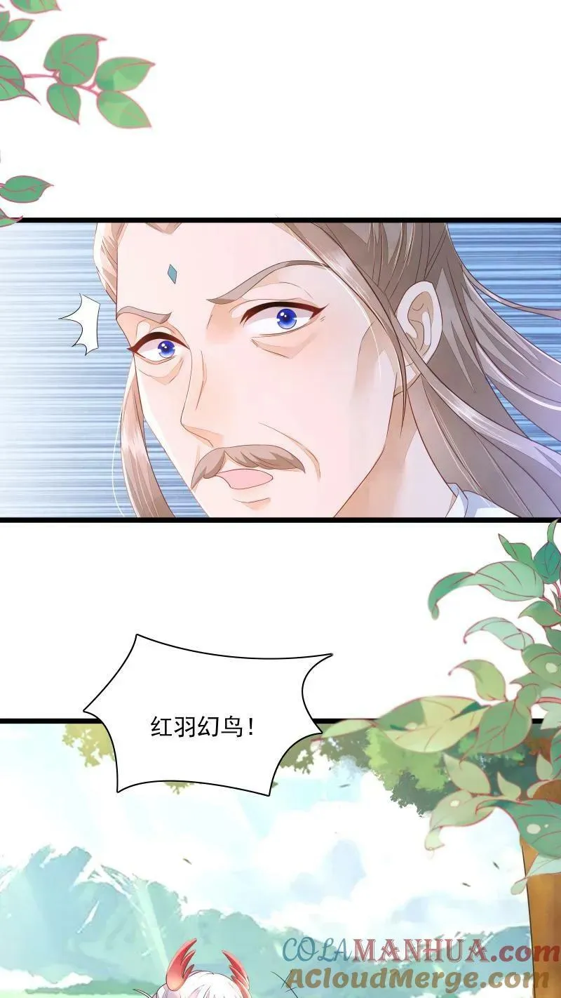 第5话 这破鸟想当我主人6
