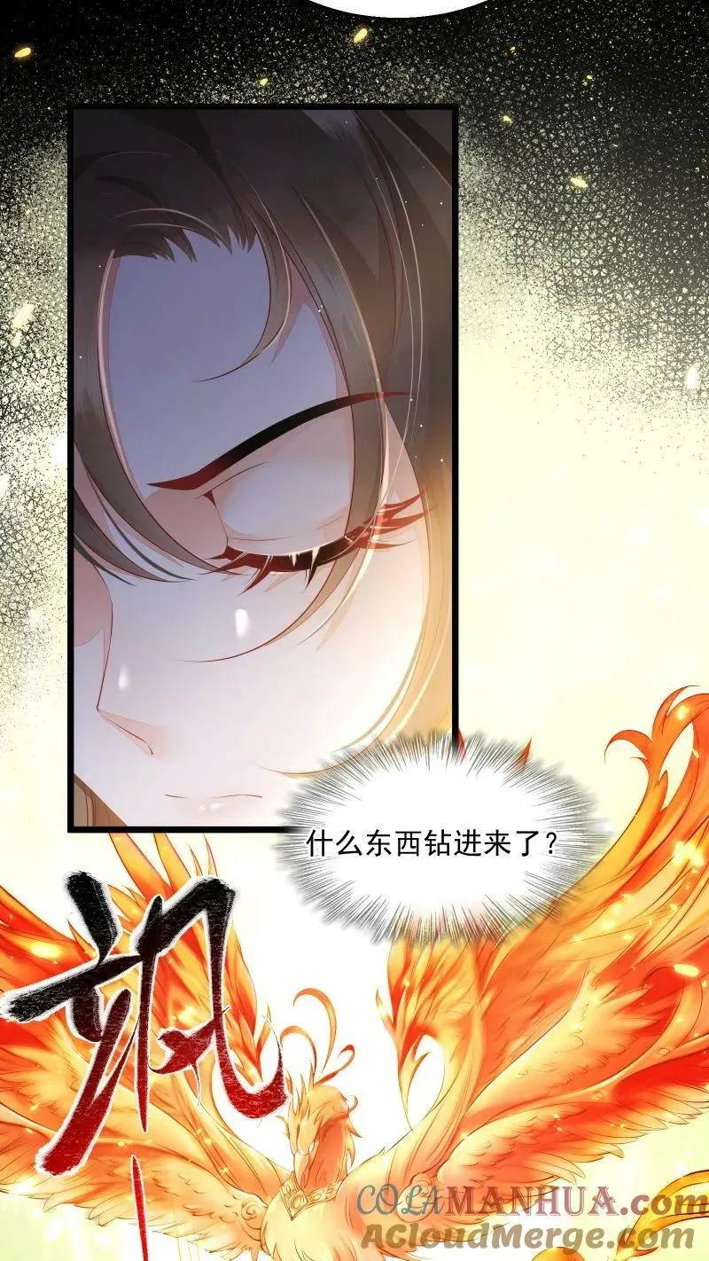 第5话 这破鸟想当我主人12