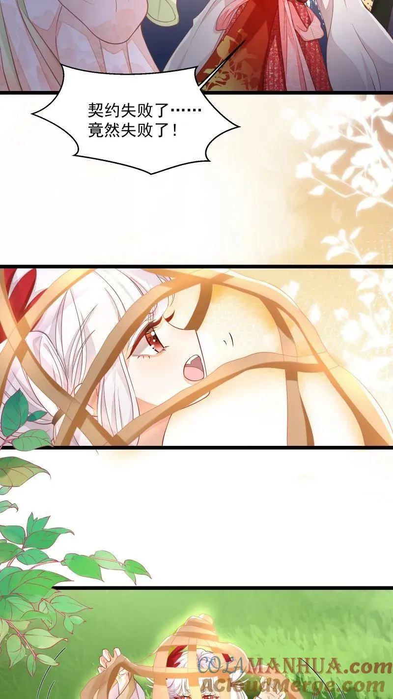 第5话 这破鸟想当我主人18