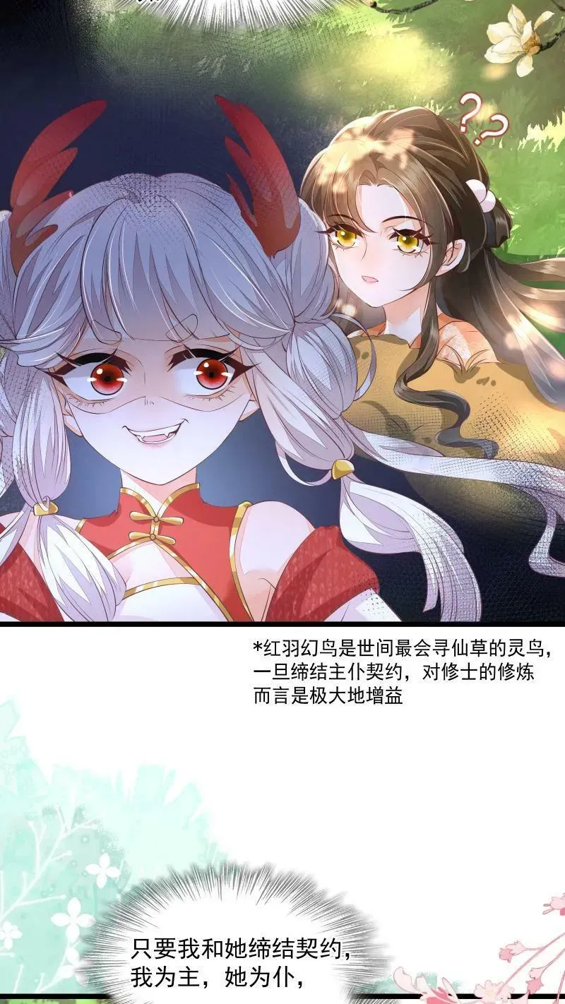 第5话 这破鸟想当我主人9