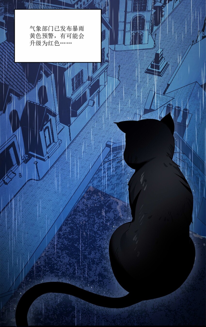 01 雨夜来客2