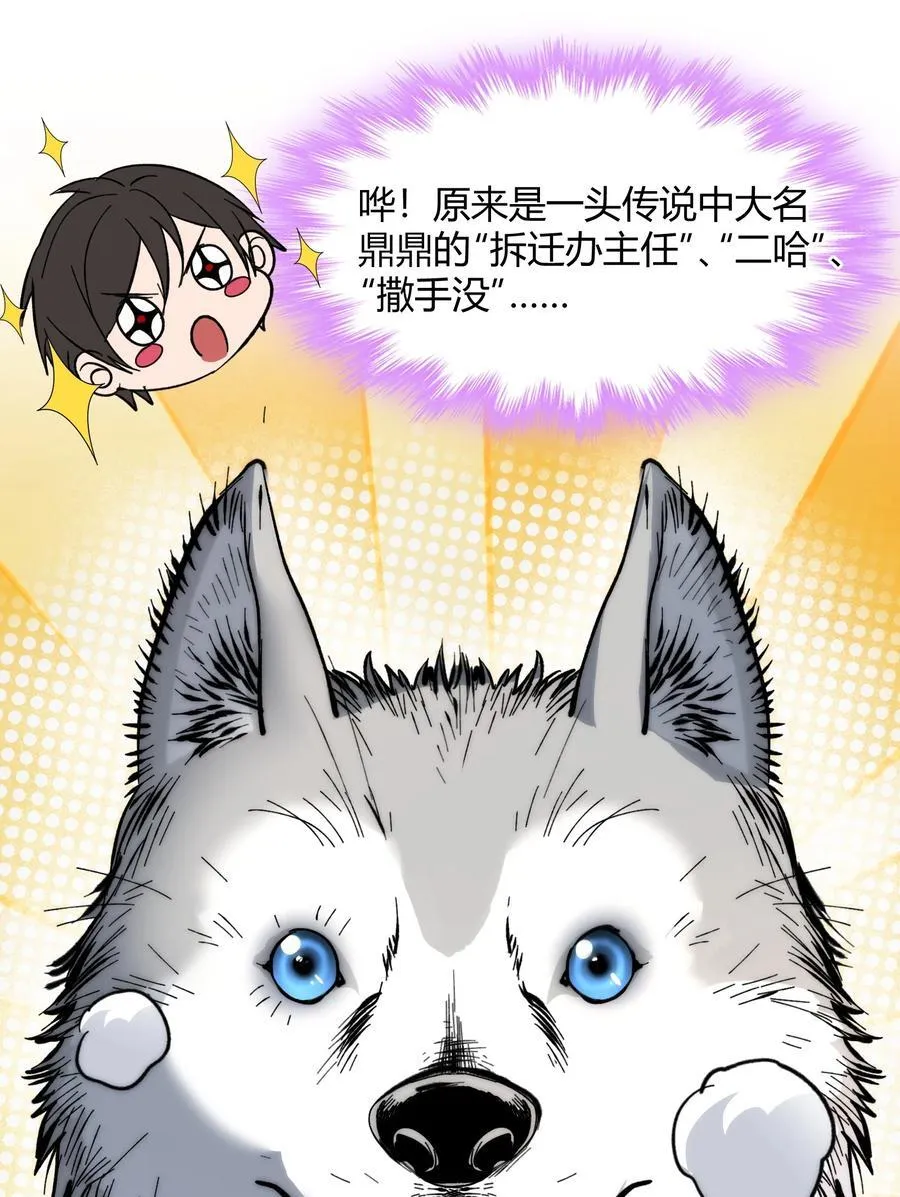 122 神兽凶猛（上）17