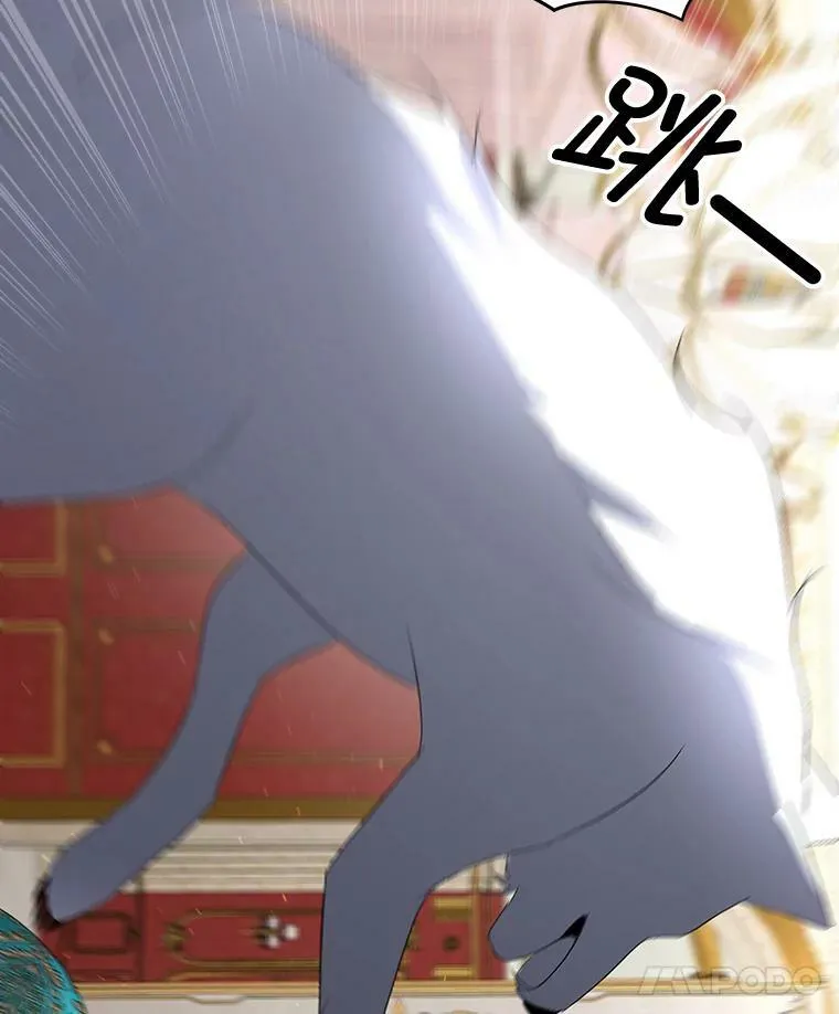 16.强制改正25