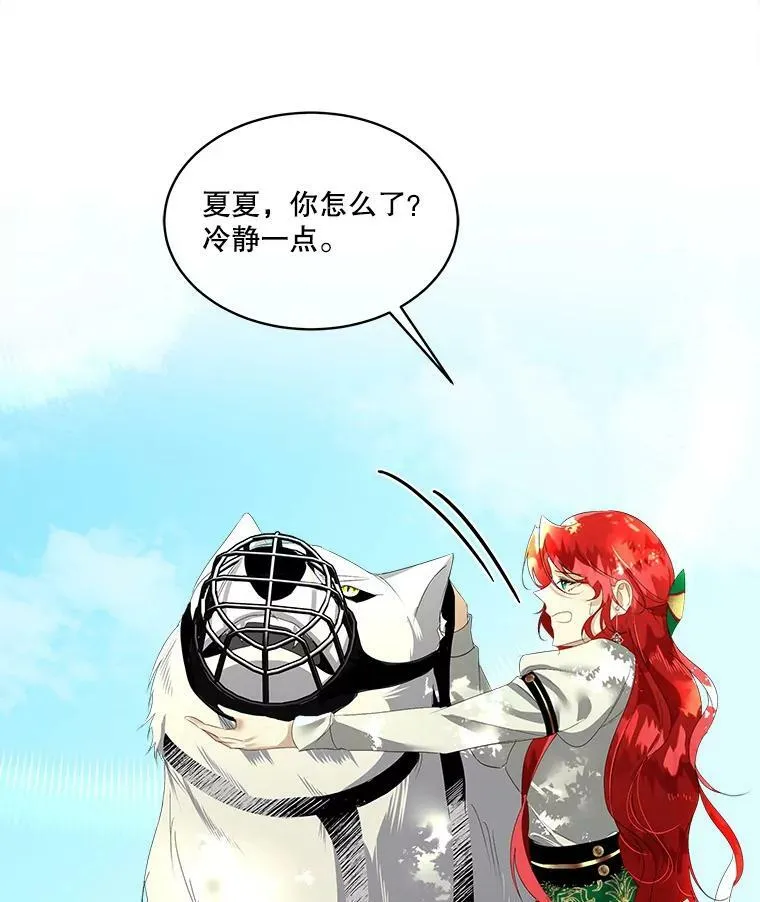 6.乌鸦37