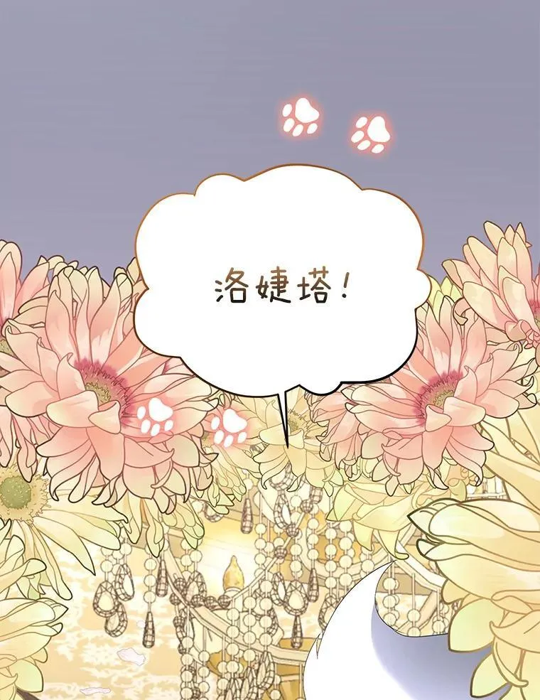 39.理性的夏夏85