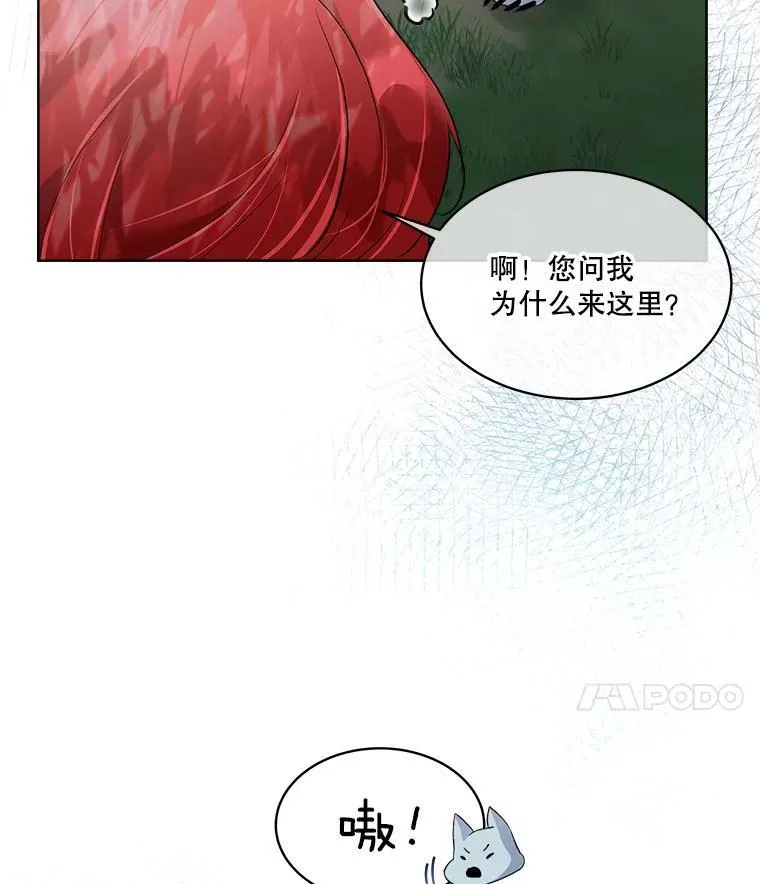 46.森林迷路98