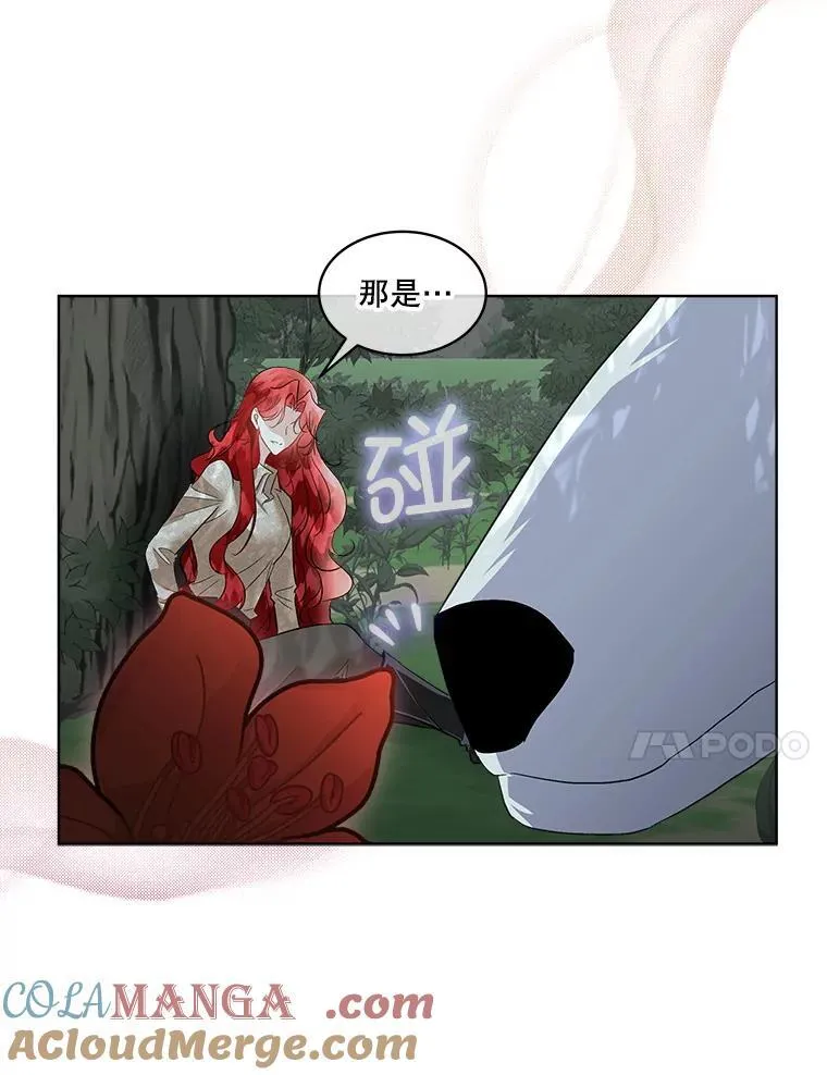 46.森林迷路80