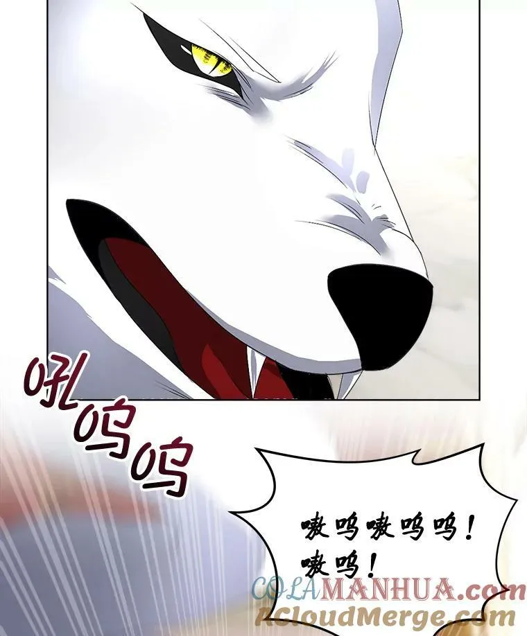 16.强制改正24