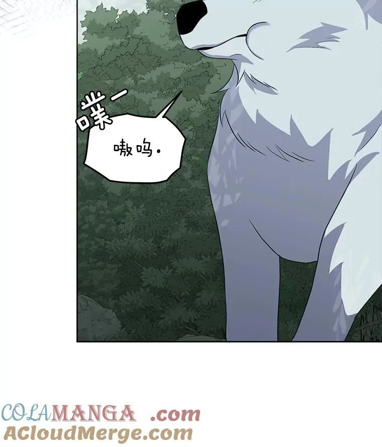 46.森林迷路100
