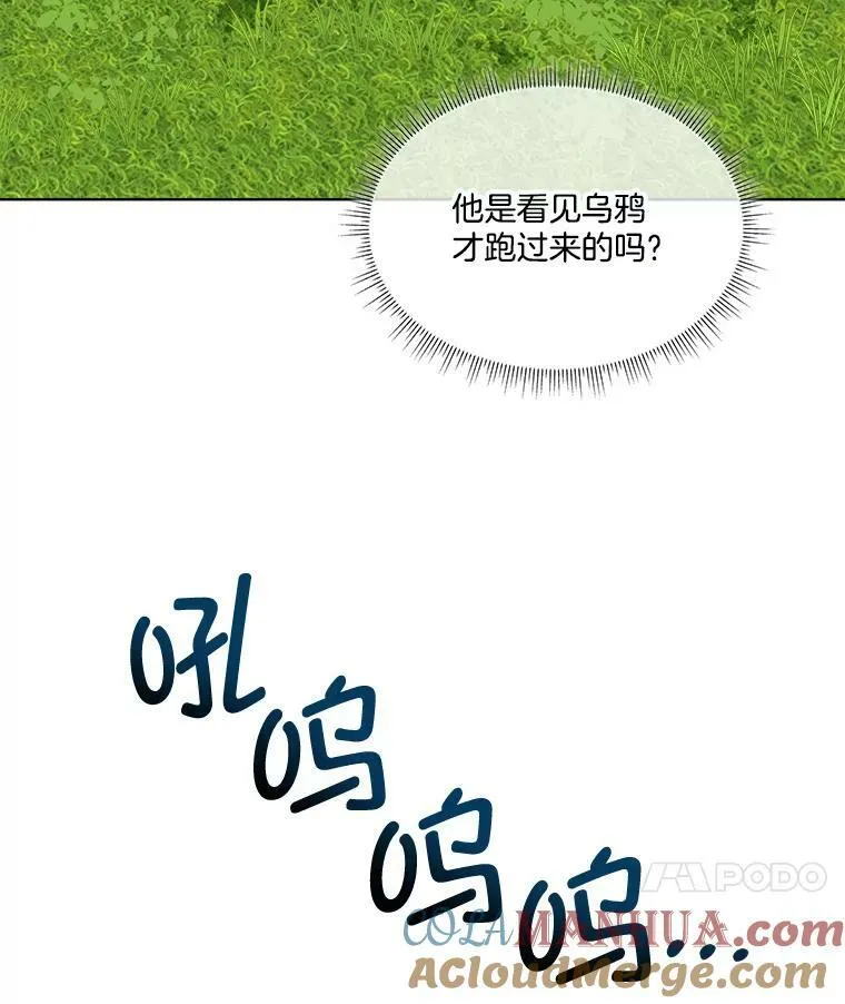 6.乌鸦36