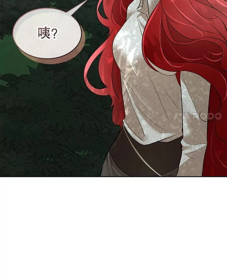 46.森林迷路43