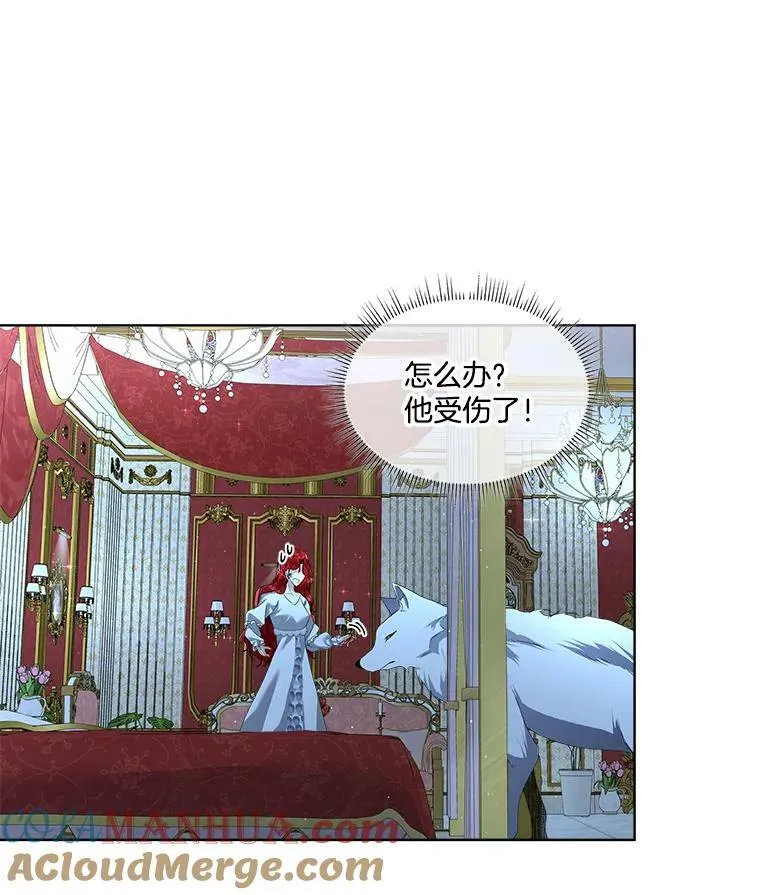 9.刺杀52
