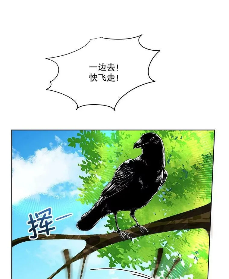 6.乌鸦41
