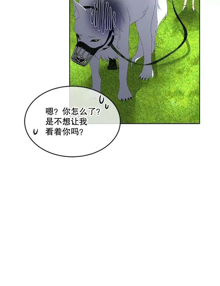 6.乌鸦22