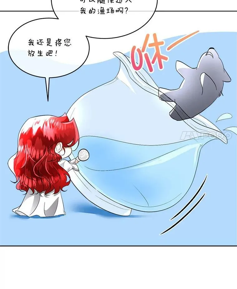 20.理想型35