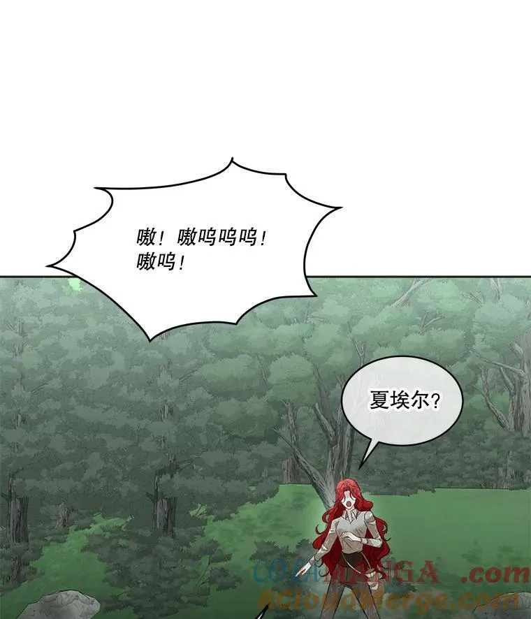 46.森林迷路44