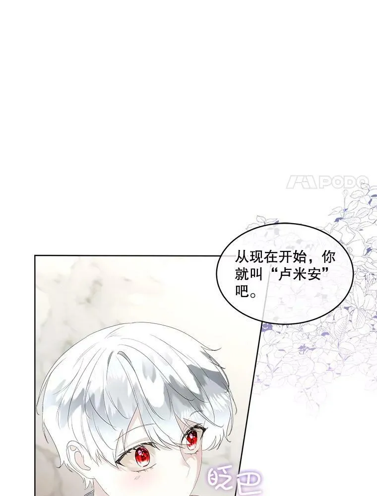 33.驯服魔物41