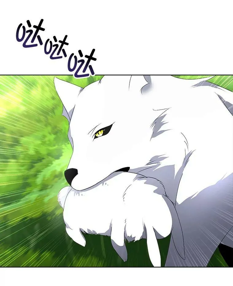 16.强制改正79
