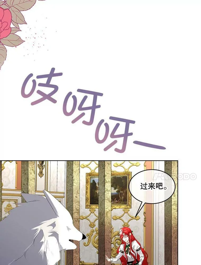 6.乌鸦85