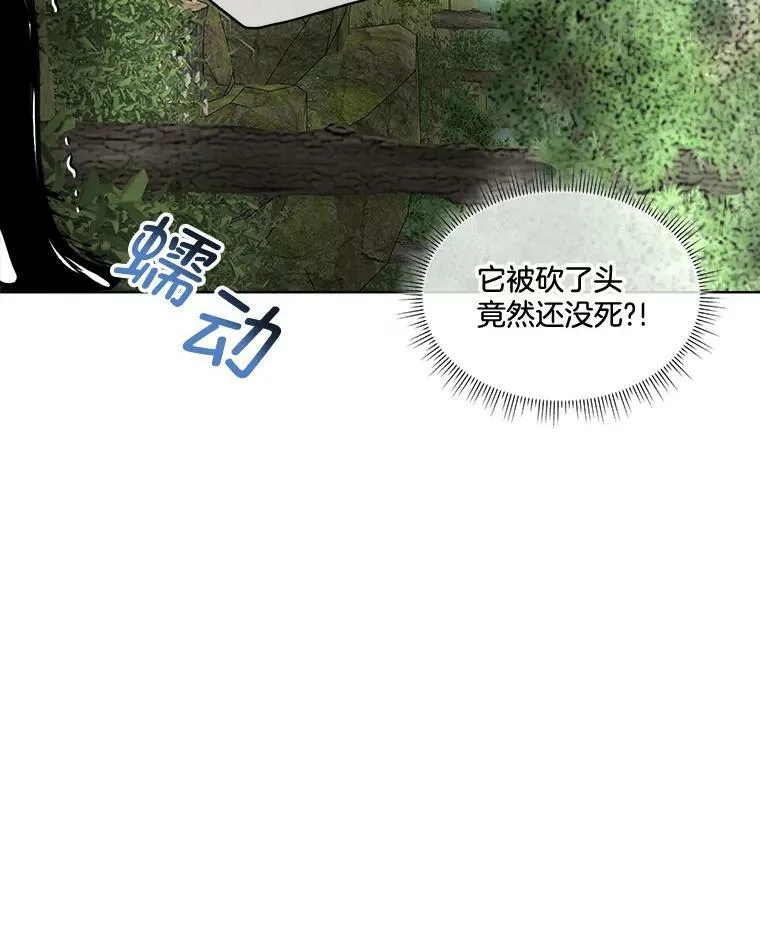 22.奇美拉14