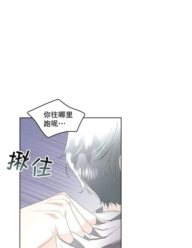 33.驯服魔物6