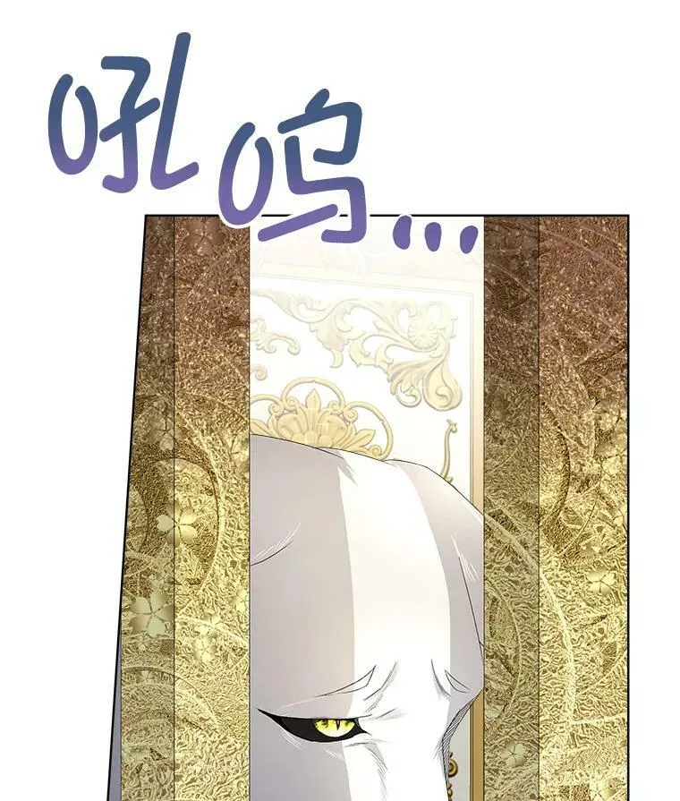6.乌鸦77