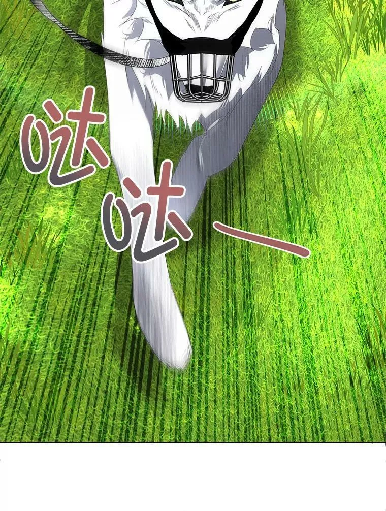 6.乌鸦30