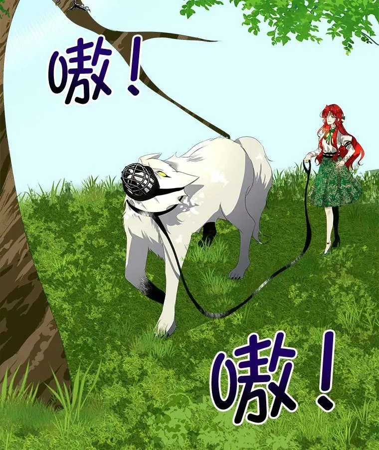 6.乌鸦35