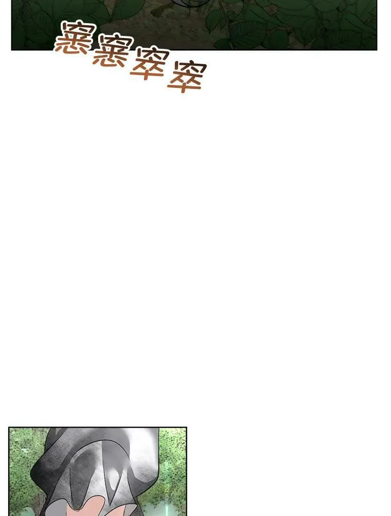 22.奇美拉29