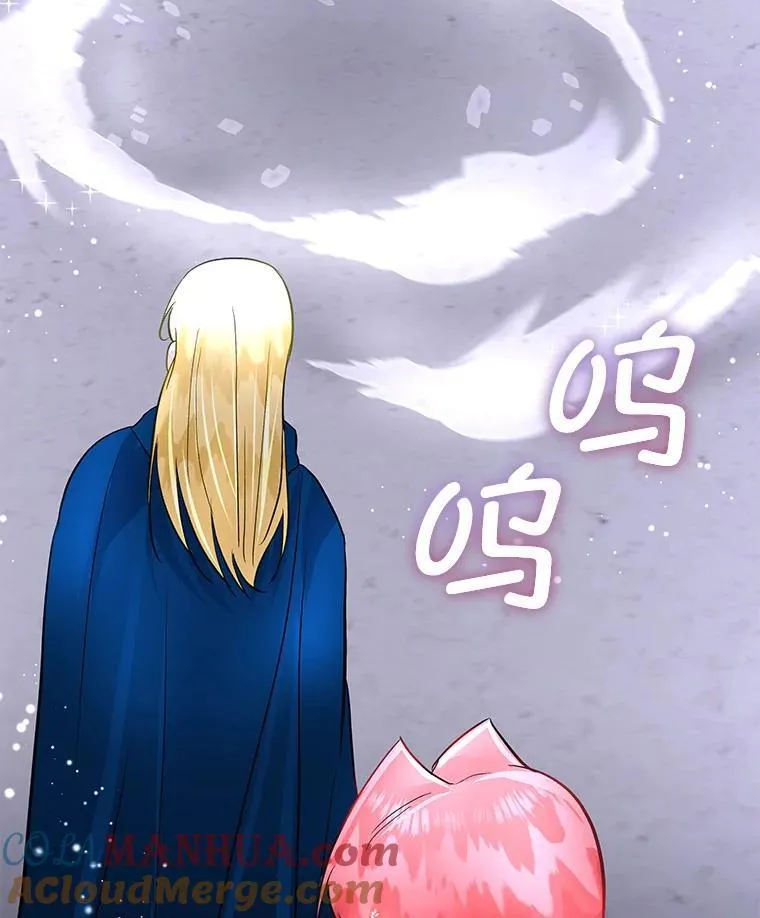 42.魔塔主的礼物108