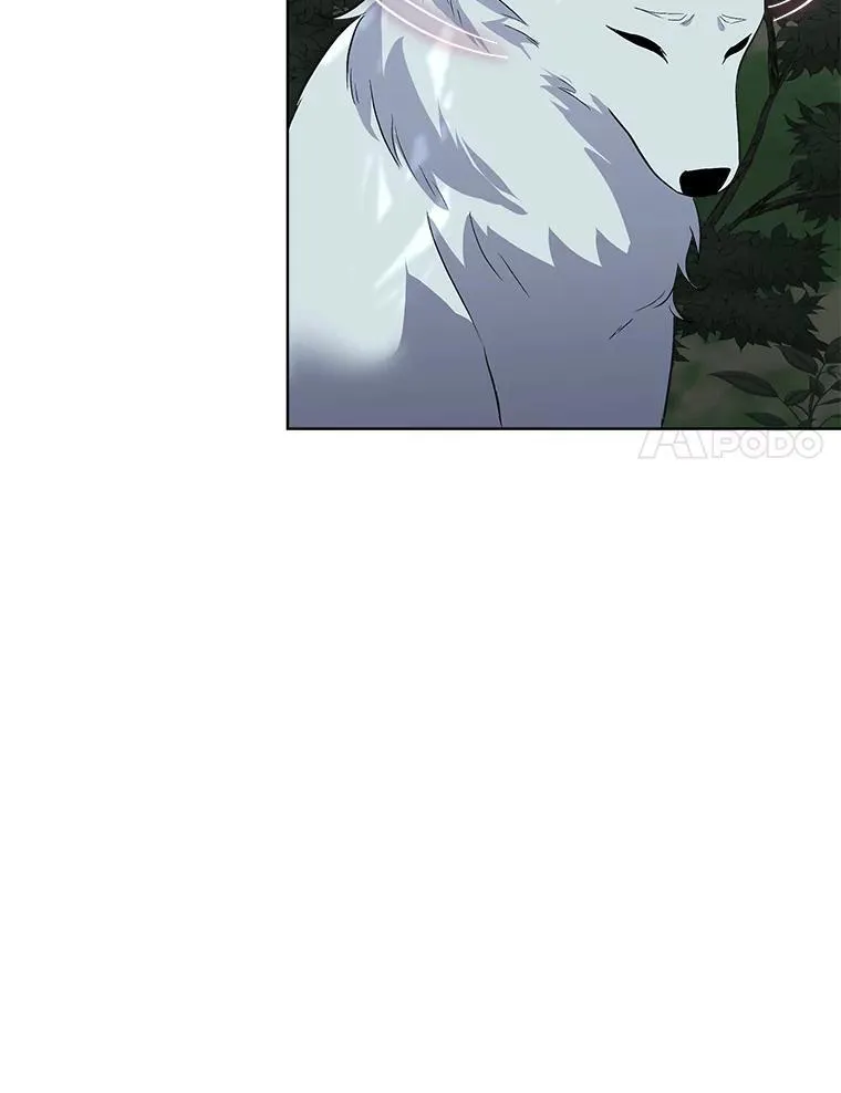 46.森林迷路77