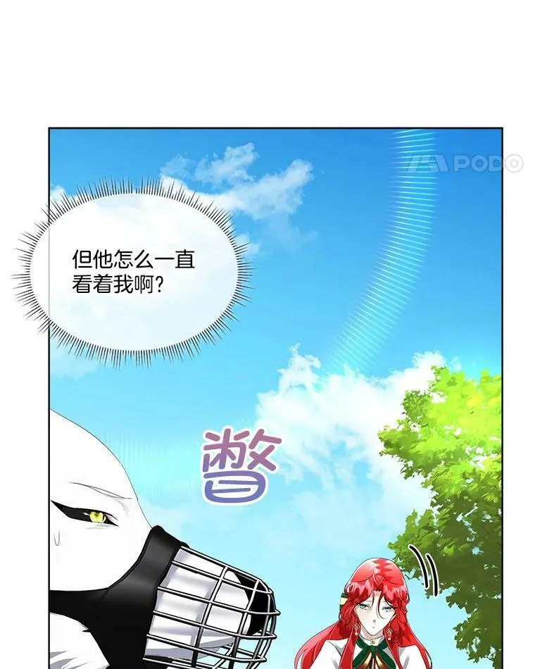 6.乌鸦13