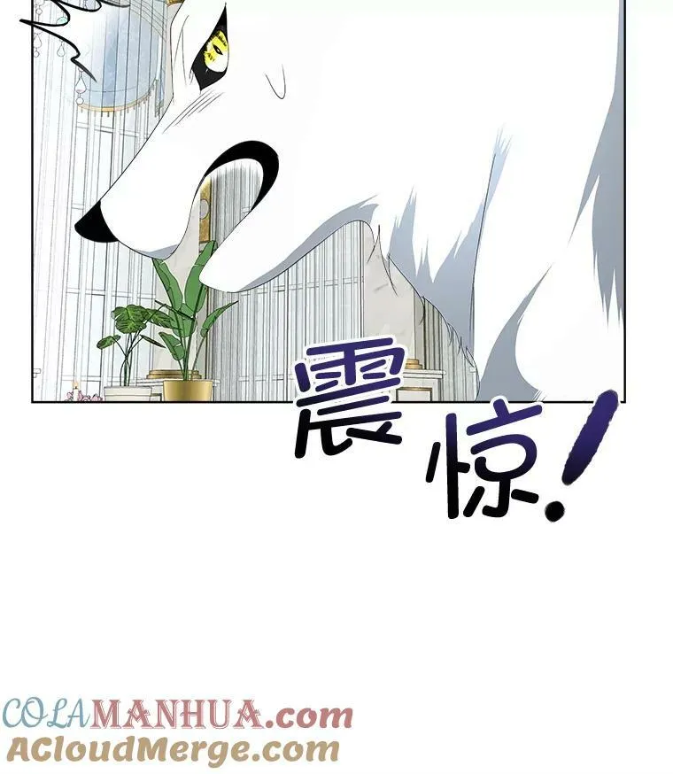 12.神秘力量112