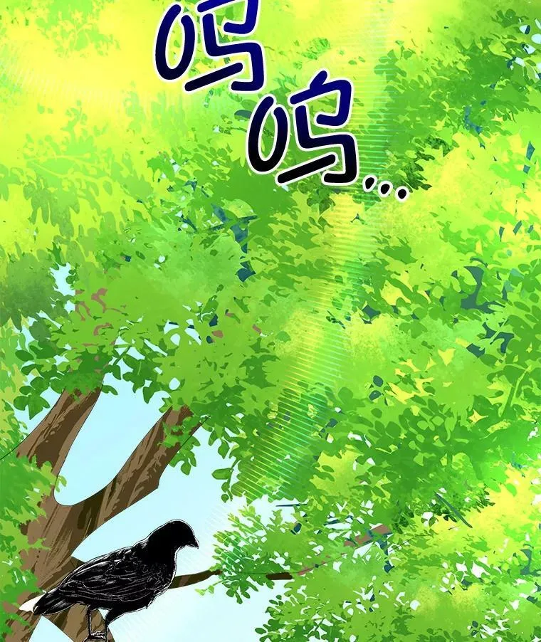 6.乌鸦34