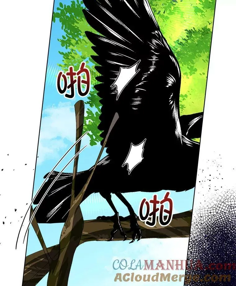 6.乌鸦48