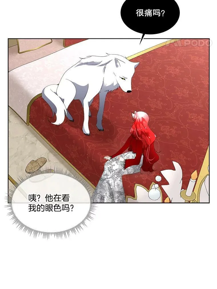 12.神秘力量58