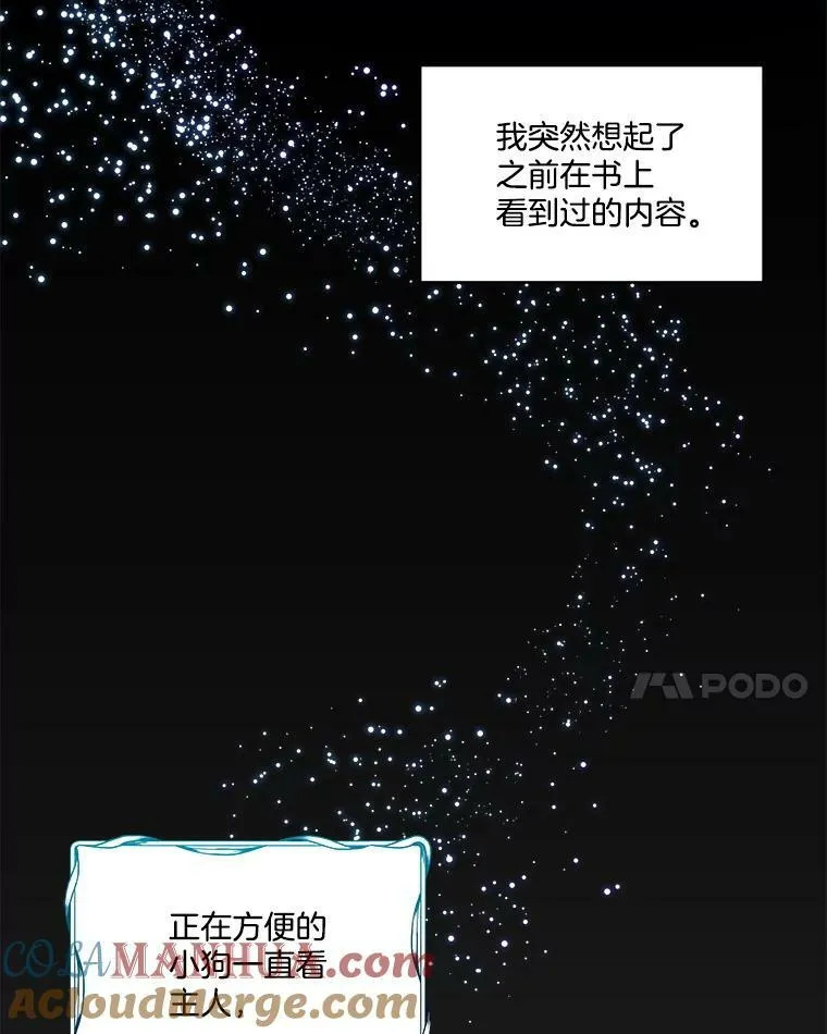 6.乌鸦16