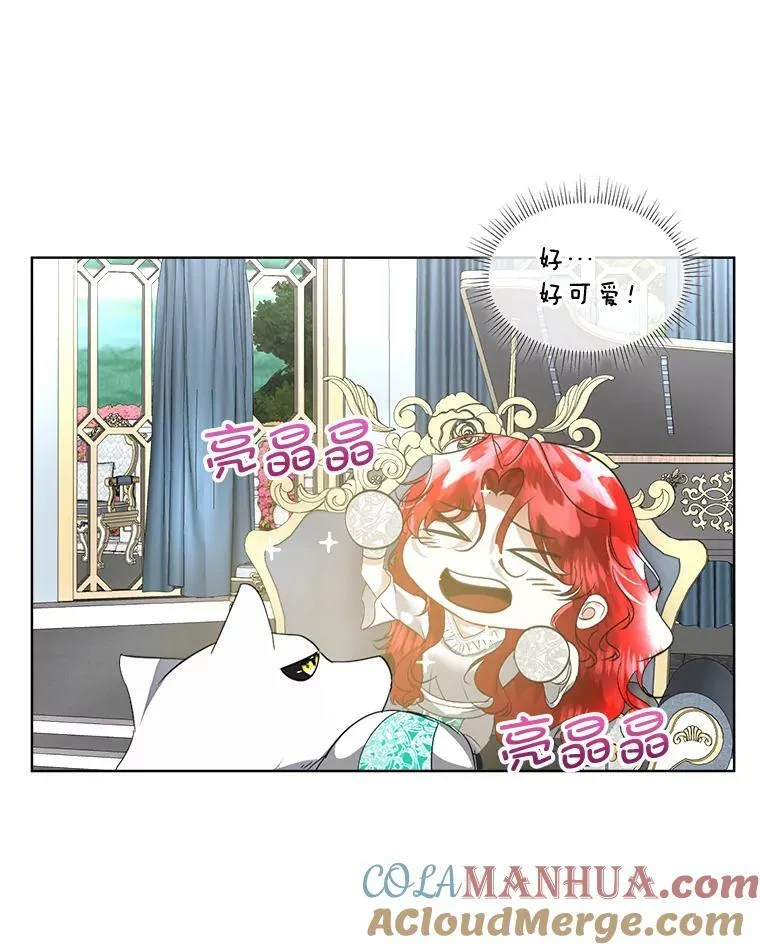 20.理想型16