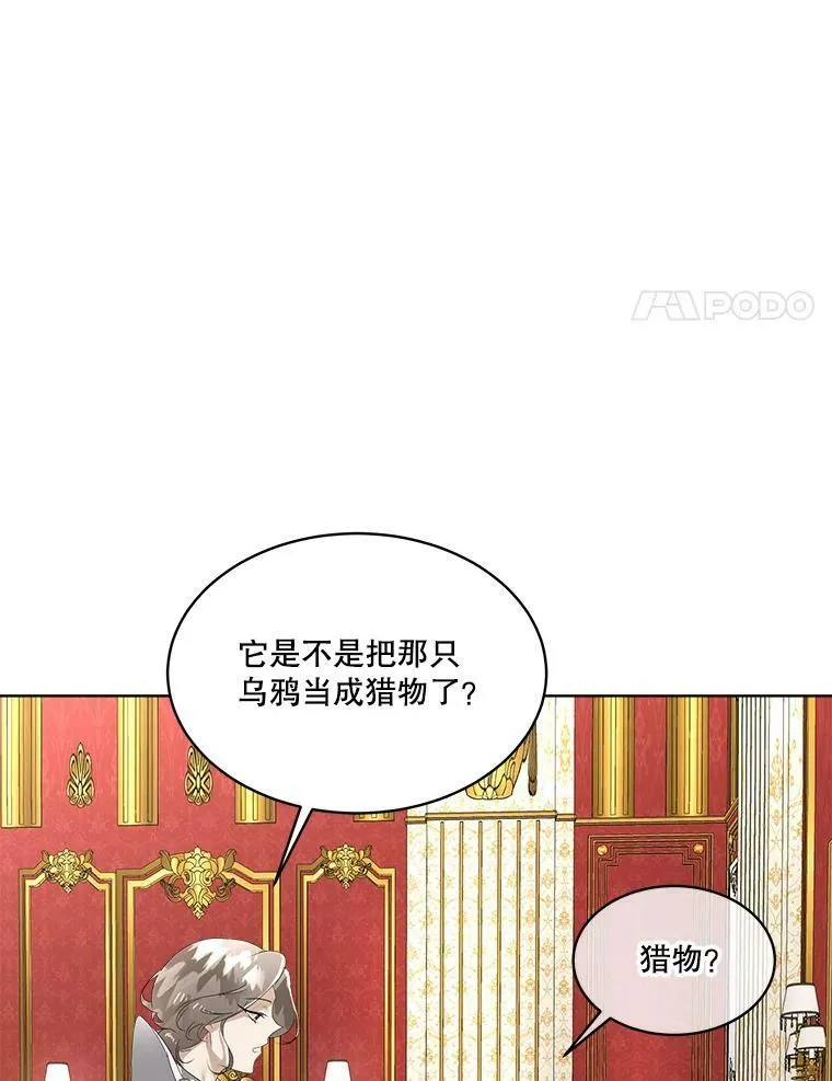 6.乌鸦65