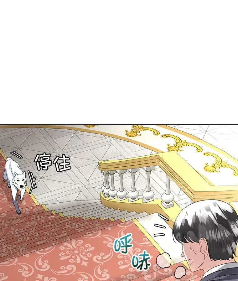 19.心绪渐明49