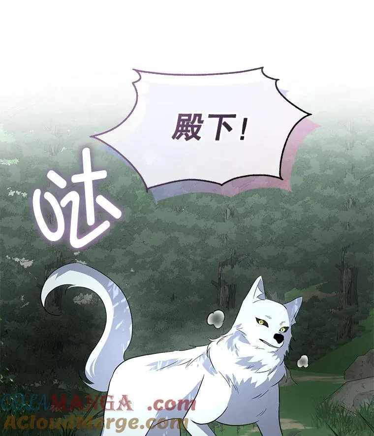46.森林迷路48