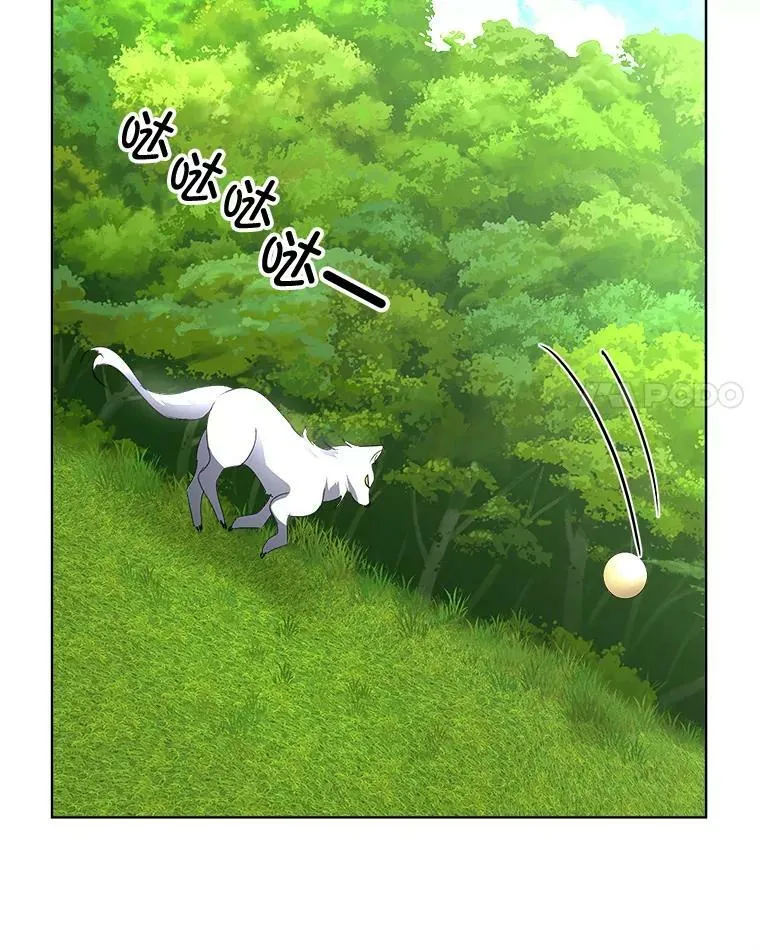 16.强制改正70