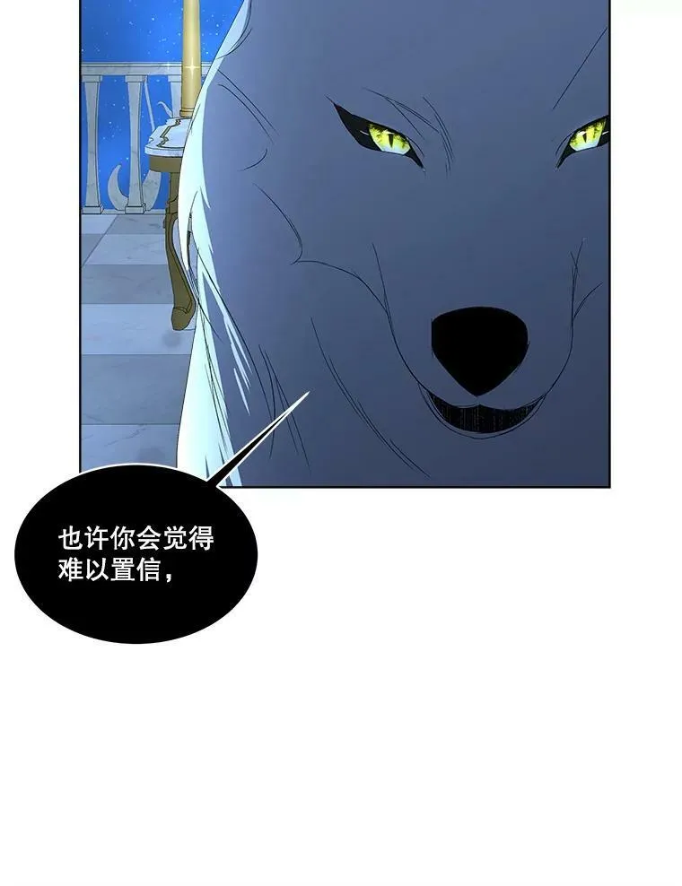 9.刺杀114