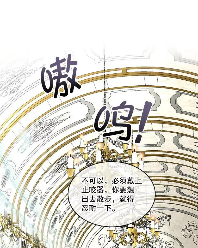 6.乌鸦5