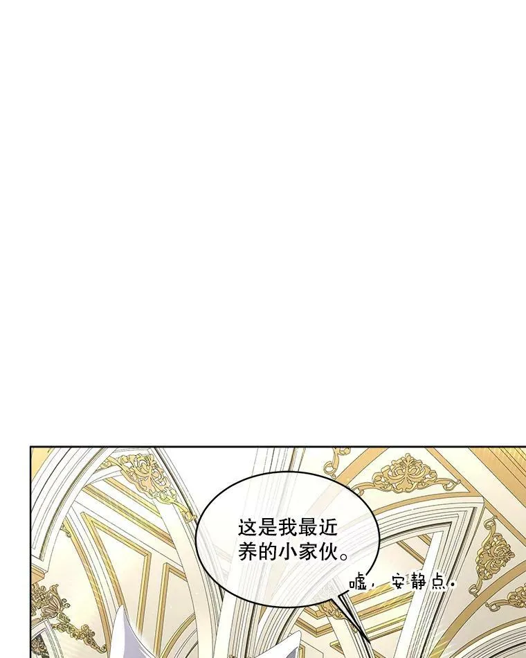 7.魔力石7